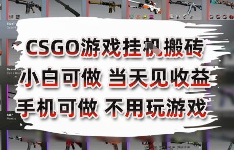 CSGO游戏挂G搬砖，小白纯手机即可操作，不用电脑打游戏，日入3张+，副业网创项目【揭秘】-皮皮网创