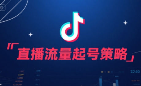 尼采老师·直播流量起号实战课-皮皮网创