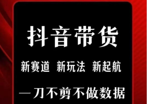 抖音短视频一刀不剪带货，不剪辑，不直播，每天发个视频，等着出单获取带货佣金-皮皮网创