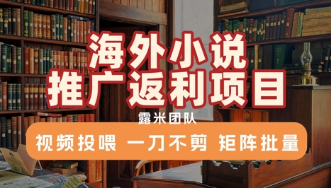 海外小说推广返利项目，视频投喂， 一刀不剪，矩阵批量-皮皮网创