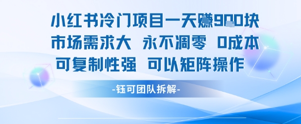 小红书冷门项目一天收益9张，市场需求大，0成本，可复制性强可以矩阵操作-皮皮网创