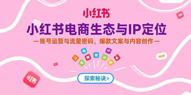 小红书电商生态与IP定位，账号运营与流量密码，爆款文案与内容创作-皮皮网创