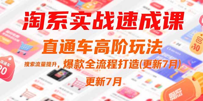 淘系实战速成课，直通车高阶玩法，搜索流量提升，爆款全流程打造(更新7月-皮皮网创