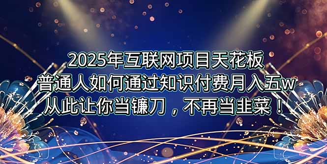 2025年互联网项目天花板，普通人如何通过卖项目实现逆风翻盘，月入5W＋！-皮皮网创