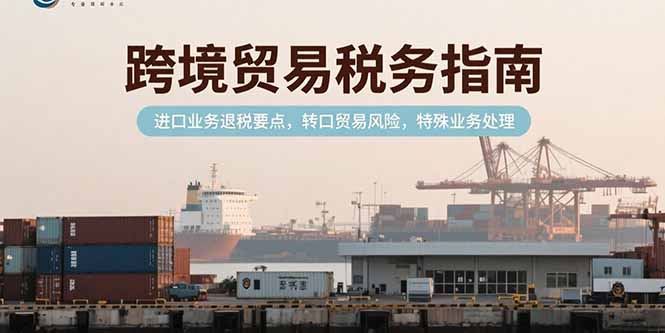 跨境贸易税务指南，进口业务退税要点，转口贸易风险，特殊业务处理-皮皮网创