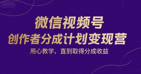 微信视频号创作者分成计划变现营，用心教学，直到取得分成收益-皮皮网创