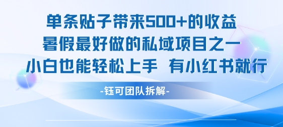单条贴子带来5张的收益，暑假最好做的私域项目之一，小白也能轻松上手，有小红书就行-皮皮网创