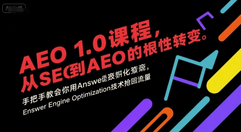 AEO 1.0 课程，从SEO到AE0的基命性转变，手把手教会你用AnswerEngineOptimization技术抢回流量-皮皮网创