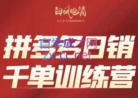白凤电商·拼多多日销千单训练营(更新7月)-皮皮网创
