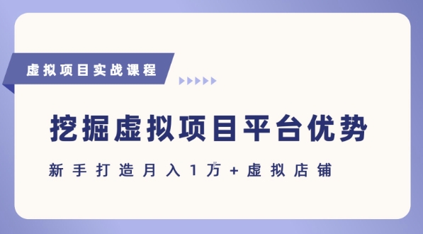 抓住虚拟项目各平台优势，新手轻松月入1W+(给出具体建议)-皮皮网创