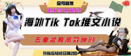 海外tiktok小说推文暴力项目，高停留率，高转化率，上手后一天搞顿饭钱不是问题-皮皮网创