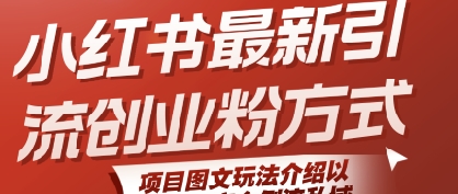 小红书最新引流创业粉方式，项目图文玩法介绍以及如何安全倒流私域-皮皮网创