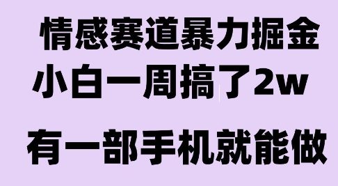 情感暴力掘金项目，新人操作一周挣了2W，长期稳定小白可做【揭秘】-皮皮网创