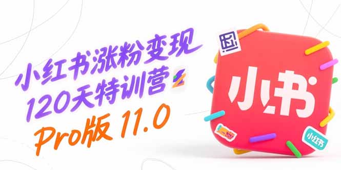 小红书涨粉变现120天特训营Pro版11.0：从0到1掌握平台运营,内容制作和变现-皮皮网创