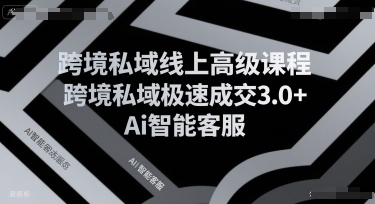 跨境私域线上高级课程，跨境私域极速成交3.0+Ai智能客服-皮皮网创