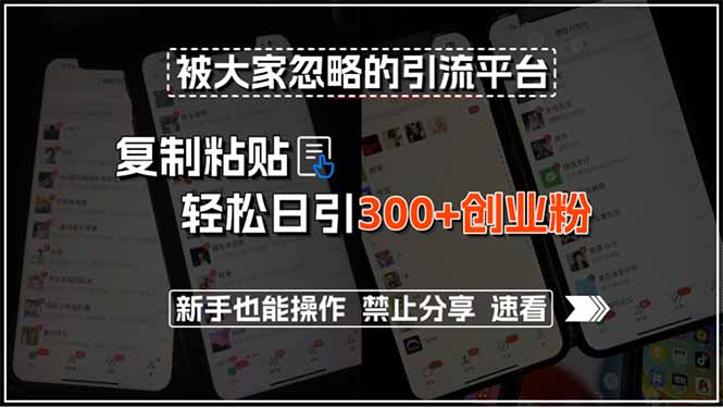 被大家忽略的引流平台，复制粘贴轻松日引300+创业粉，新手也能操作，禁…-皮皮网创