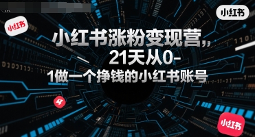 小红书涨粉变现营，21天从0-1做一个挣钱的小红书账号-皮皮网创