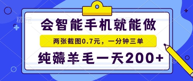 2025年零撸手机项目，二十秒一单，纯薅羊毛，一天200+做就有【揭秘】-皮皮网创