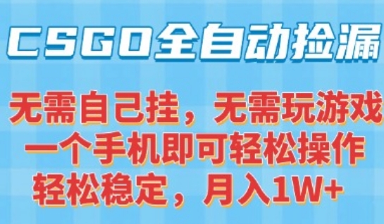 CSGO自动捡漏项目，最新独家玩法，一个手机可操作，新手小白轻松月入1W+，操作简单易上手【揭秘】-皮皮网创