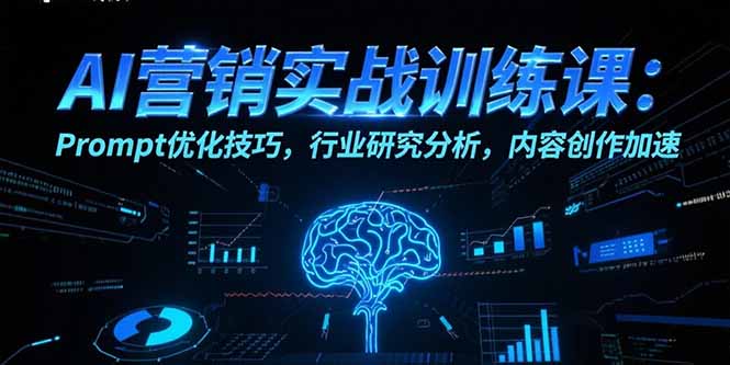 AI营销实战训练课：Prompt优化技巧，行业研究分析，内容创作加速-皮皮网创