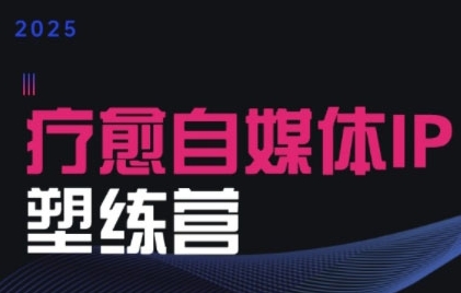 2025治愈自媒体IP训练营，专为疗愈领域从业者打造-皮皮网创