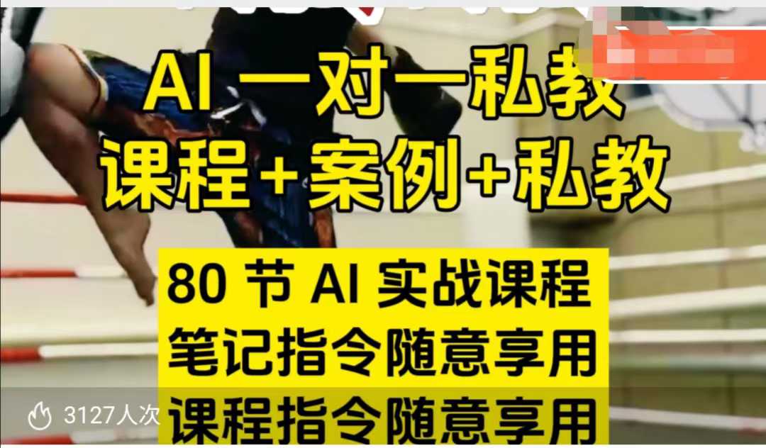 AI指令实战课，课程+案例，80节AI实战课程，笔记指令随意享用，课程指令随意享用(更新7月)-皮皮网创