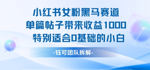 小红书女粉黑马赛道单篇帖子带来收益1k+，特别适合0基础的小白-皮皮网创