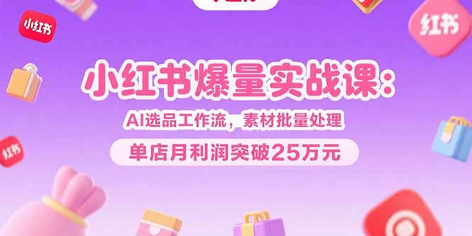 小红书爆量实战课：AI选品工作流，素材批量处理，单店月利润突破25万元-皮皮网创