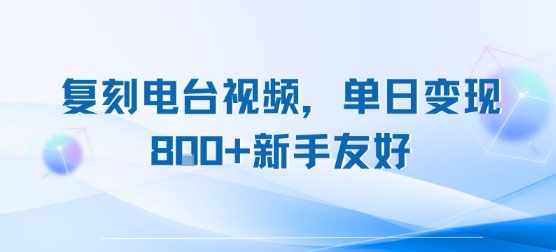 复刻电台视频，单日变现8张+新手友好，长期可做-皮皮网创