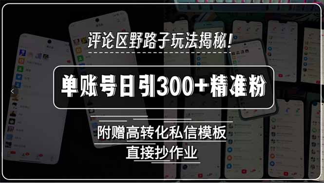 评论区野路子玩法揭秘！单账号日引300+精准粉，附赠高转化私信模板，直…-皮皮网创