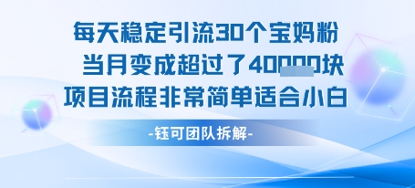 每天稳定引流30个人 当月变成超过了4个W项目流程非常简单适合小白-皮皮网创