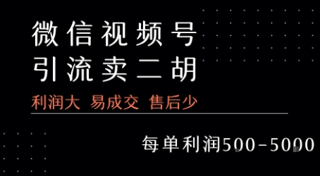视频号卖二胡教程，利润大 易成交 售后少，一单利润5张+-皮皮网创