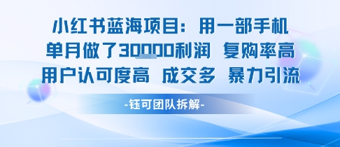 小红书蓝海项目，一部手机单月做了3W利润，小白也能月入过1W用户认可度高成交多-皮皮网创