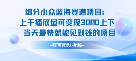 小众蓝海赛道项目：当天变现1k+适合新手操作 +适合长期玩-皮皮网创