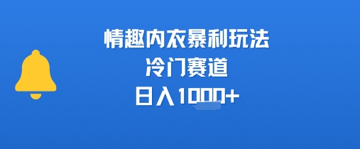 情趣内衣暴利玩法，冷门赛道，日入1k+-皮皮网创