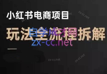菲菲老师·小红书电商玩法(更新7月)-皮皮网创