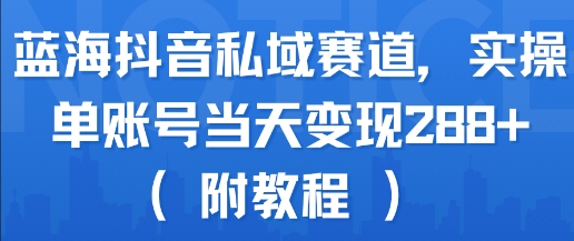 蓝海抖音私域赛道，实操单账号当天变现288+(附教程)-皮皮网创