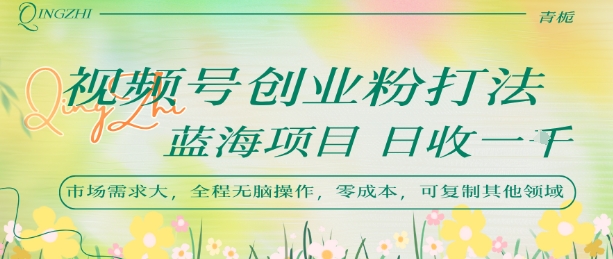 视频号创业粉打法，日入1k，蓝海项目，市场需求大，全程无脑操作，可复制-皮皮网创