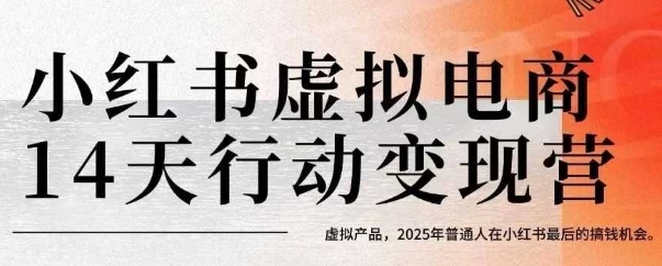 小红书虚拟电商14天变现训练营，虚拟产品，2025年普通人在小红书最后的搞钱机会-皮皮网创