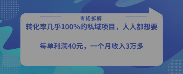 转化率最高的私域项目，每单利润40-50米，月入过1w-皮皮网创