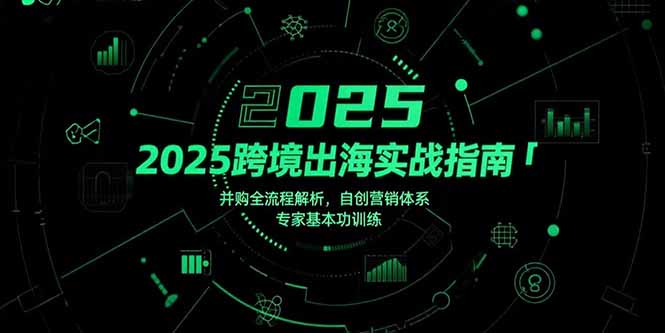 2025跨境出海实战指南，并购全流程解析，自创营销体系，专家基本功训练-皮皮网创