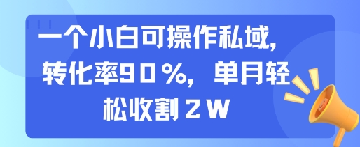 一个小白可操作私域，转化率90%，单月轻松收割2W-皮皮网创