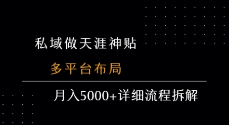 私域做天涯神贴 多平台布局 月入5k+详细流程拆解-皮皮网创