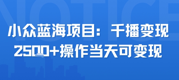 小众蓝海项目，千播变现2.5k+操作当天可变现-皮皮网创