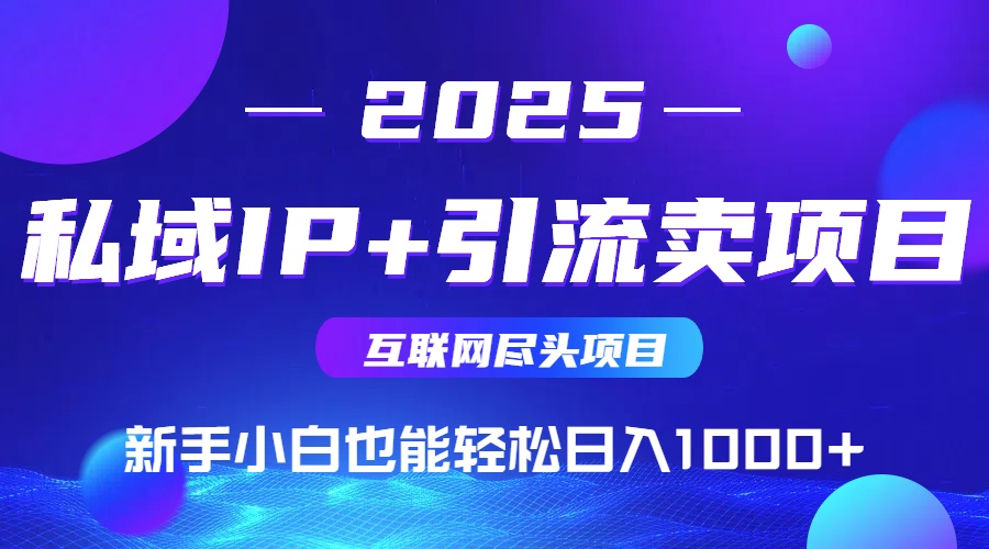2025网创尽头项目，私域IP+引流，新手小白也能在家日入1000+-皮皮网创