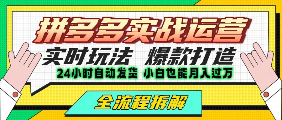 拼多多最新实战运营高投产：长久稳定项目，单店利润一天三位数-皮皮网创
