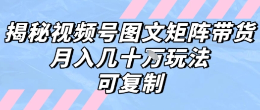 解密视频号图文矩阵带货，月入几个W的打法，可复制-皮皮网创