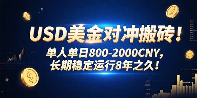USD美金对冲搬砖!单人单日800-2000CNY，长期稳定运行8年之久!-皮皮网创