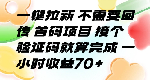 一键拉新 不需要回传 首码项目 接个验证码就算完成 一小时收益70+【揭秘】-皮皮网创