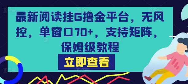 最新阅读挂G撸金平台，无风控，单窗口70+，支持矩阵，保姆级教程【揭秘】-皮皮网创